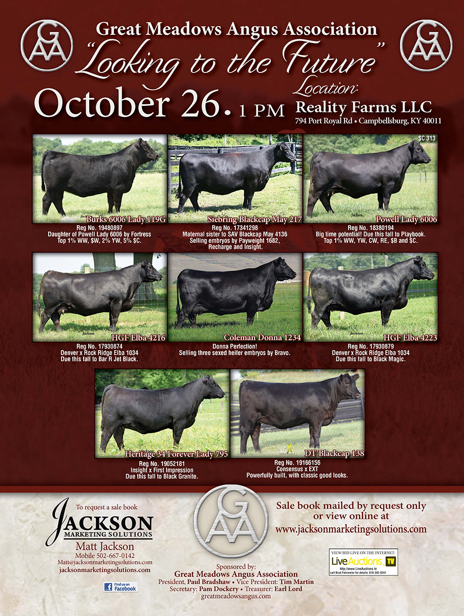 Jackson Marketing Solutions, LLC